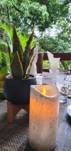 埃祖尔韦尼Lidwala Lodge的一张桌子,上面放着蜡烛和盆子