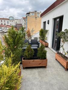 伊斯坦布尔Liberi Hotel Taksim的一座庭院,里面种有盆栽树木,在建筑里还配有沙发