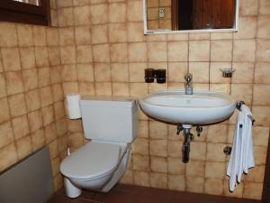 MassagnoApartment Resort al Centro-1 by Interhome的一间带卫生间和水槽的浴室