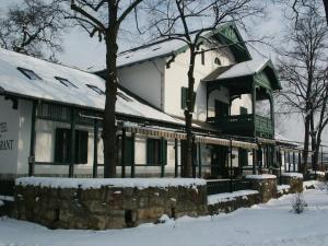 尼赖吉哈佐Svájci Lak Panzió的雪地中带凉亭的建筑