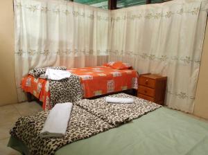 马尔多纳多港Villa Hermosa de Tambopata Casa Hospedaje & Hostel的客房设有两张床和一个带窗帘的窗户。