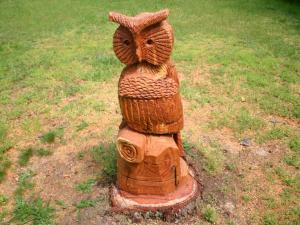 弗兰克瑙Holiday Home Am Sternberg 105 by Interhome的坐在草地上的木头猫头鹰雕像