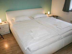 弗兰克瑙Holiday Home Elke's Traum by Interhome的一张带两个枕头的大白色床