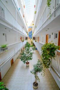 贝尼多姆阿维尼达公寓的建筑里一个有盆栽树木的空走廊