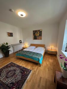 不来梅港Villa am Park的一间卧室配有一张床、两盏灯和地毯。
