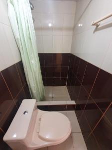 库斯科La Estacion San Pedro的浴室配有白色卫生间和淋浴。