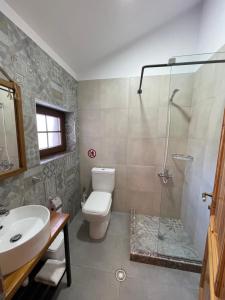 沃斯科波亚Bujtina Liana Voskopoje的浴室配有卫生间、盥洗盆和淋浴。