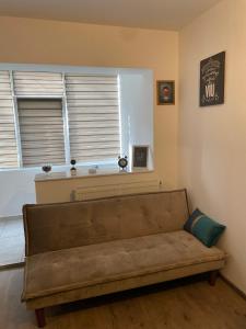 康斯坦察City Park Studio的客厅里设有一张棕色沙发,配有窗户
