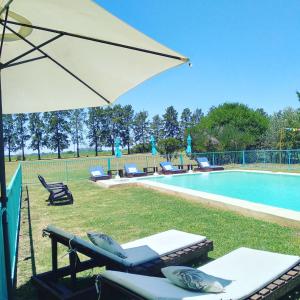 圣安东尼奥德阿雷科La Perdida Casa de Campo的游泳池旁的遮阳伞和躺椅
