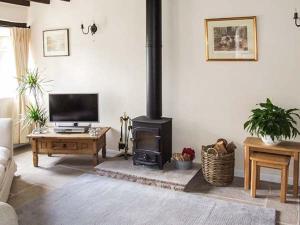 惠特彻奇Ganarew Cottage的客厅设有壁炉、电视和炉灶