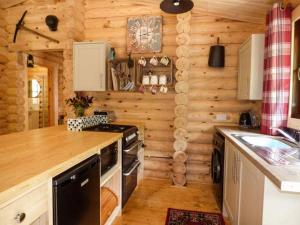 ShelveWilderness Lodge的小木屋内的厨房配有炉灶