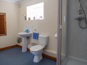 LlanddulasYsgubor - Barn的浴室配有卫生间、盥洗盆和淋浴。