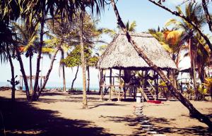 ZancudoColoso del Mar的棕榈树和海洋海滩上的小屋