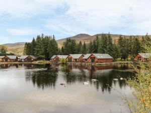阿伯费尔迪Burnside Lodge Lodge 1, Glengoulandie的湖中满是房子和鸭子