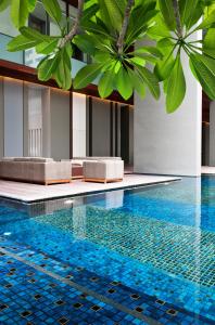 曼谷Hansar Bangkok Hotel的拥有蓝色海水和绿色植物的游泳池