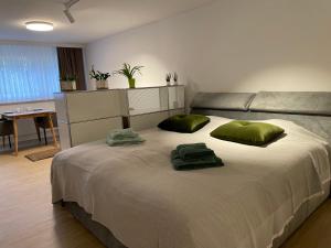 苏黎世Studio Gocki的一间卧室配有一张大床和两个绿色枕头