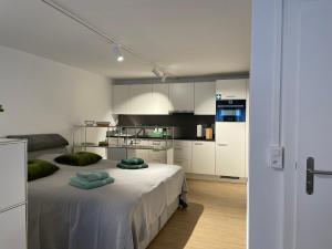 苏黎世Studio Gocki的白色客房 - 带床和厨房