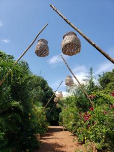 WakisoMabamba Lodge的灌木丛上放篮子的花园
