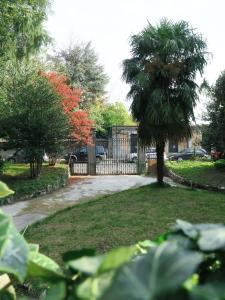 科莫Villa Crochat的院子里的棕榈树,有栅栏