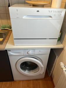 耶拿Jena Botanischer Garten的厨房里配有白色的洗衣机和烘干机