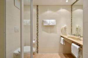 慕尼黑西部赛德尔会议酒店的一间浴室