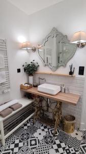 维希RoomChic - Les Ambassadeurs的一间带水槽和镜子的浴室