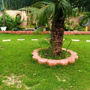 达累斯萨拉姆BabaJay Family Home的草场中间的棕榈树
