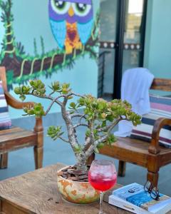 弗洛里亚诺波利斯Hospedaria da Lagoa的桌上的盆景树和一杯葡萄酒