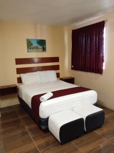 坎佩切Hotel Bugambilia Campeche的相册照片