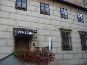 兹诺伊莫Pension Archa的前面有花盆的建筑