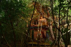 锡吉里亚皮杜兰加拉幽境酒店的森林中的一个树屋