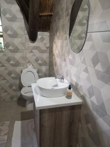 东伦敦THE THATCH HIDE的一间带水槽和卫生间的浴室