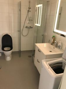 MysenMAYS Apartment的浴室配有卫生间、盥洗盆和淋浴。