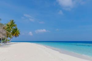 KudarikiluNihaali Maldives的棕榈树和海洋的白色沙滩