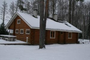 VehendiTrepimäe Holiday House的雪中屋顶雪的小木屋