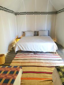 El GoueraBivouac Erg Chegaga Nomademoi的卧室配有一张白色大床和地毯。