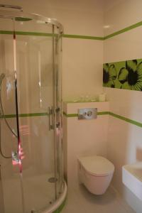 Borek Wielkopolski尹普雷斯汽车旅馆的带淋浴、卫生间和盥洗盆的浴室