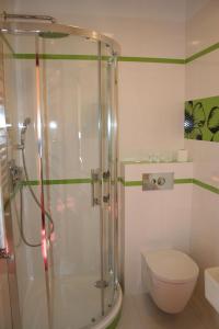 Borek Wielkopolski尹普雷斯汽车旅馆的一间带卫生间和玻璃淋浴间的浴室
