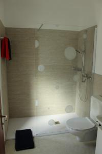 加维科利亚诺Ca da la nona的带淋浴和卫生间的浴室