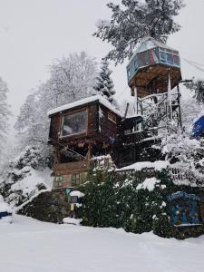 阿尔特温Olimbera Köy Evi的雪中大树屋