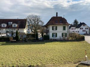 卢特巴赫Zimmer Solothurn Luterbach的一群房子和一片草地
