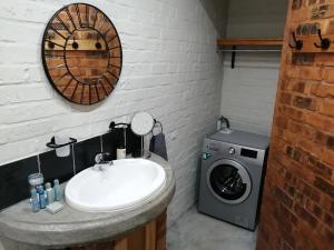 比勒陀利亚Bushbaby Cottage in Hartbeespoort的一间带水槽和洗衣机的浴室
