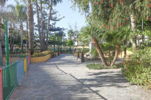 福恩吉罗拉Apartamento del Sol的棕榈树公园的走道和围栏