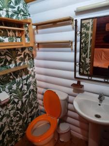 丰特-德彼德拉Camping Fuente de Piedra的一间带卫生间和水槽的浴室
