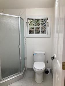 圣克鲁兹Santa Cruz Hostel的一间带卫生间和玻璃淋浴间的浴室