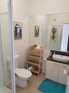 卡尔斯Maggie's Place in Cowes的一间带卫生间、水槽和镜子的浴室