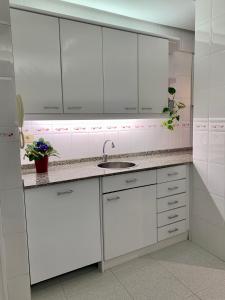 毕尔巴鄂Habitación privada en Bilbao Centro的白色的厨房配有水槽和白色橱柜