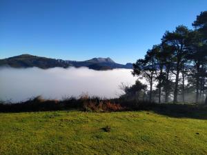 ElosuLos Arces的享有绿地、树木和山脉的景色