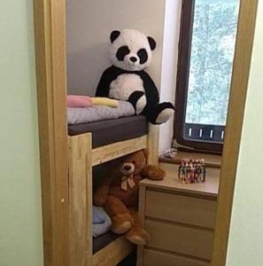 佐尔尼耶戈迪Apartma Anja的熊猫熊坐在双层床的上方