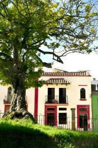 通哈Hotel Aroma del Bosque Posada Cafe的建筑物前的树